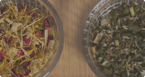 HERBS